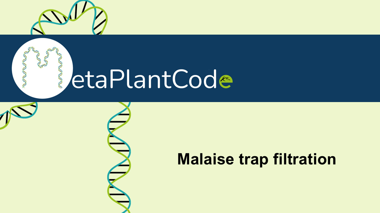 Malaise Trap Filtration
